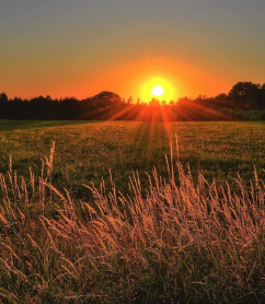 0e779b7a9be881ffab7504ae8f80f1bbd710f3b3 (2)